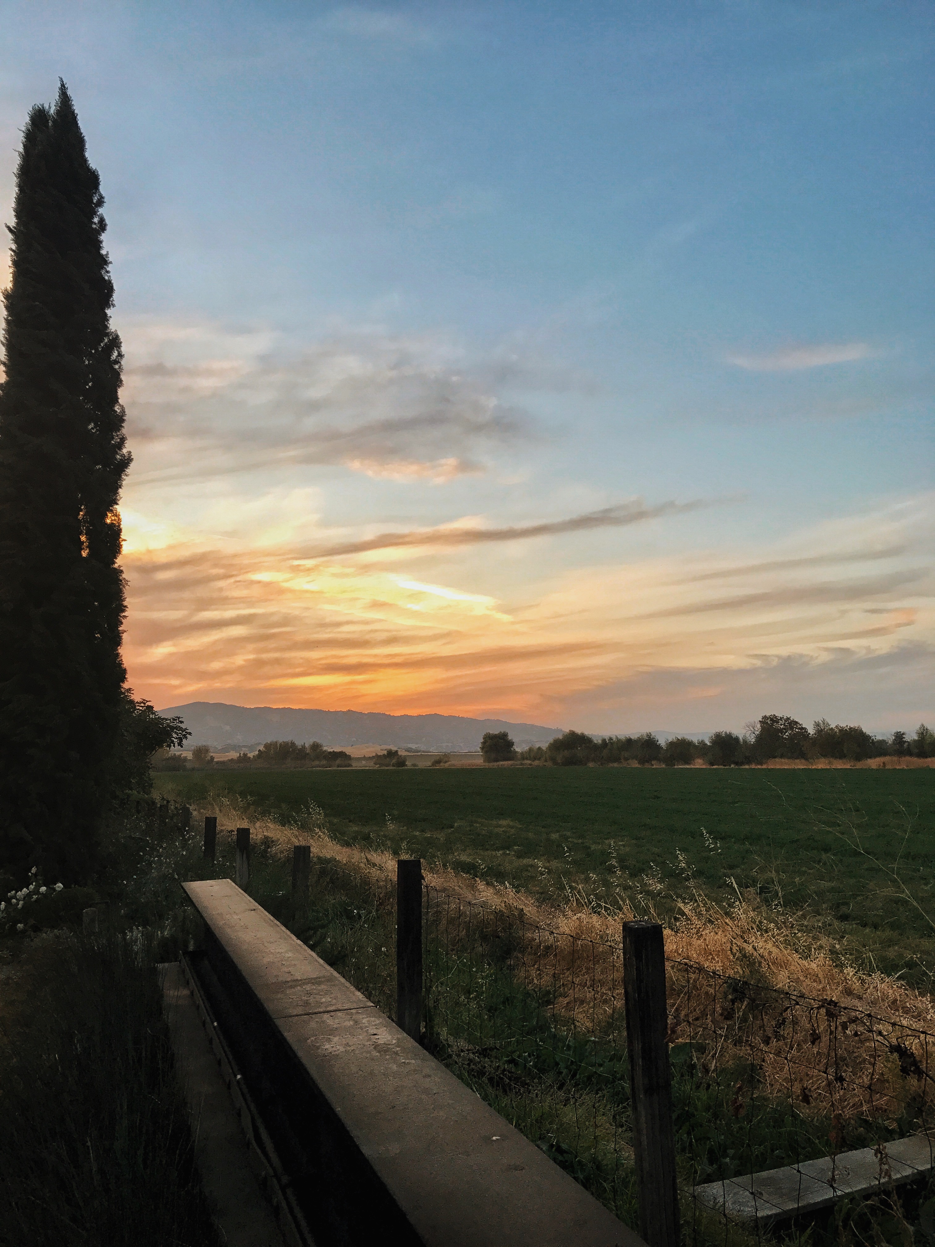 cobram estate glamping at park winters