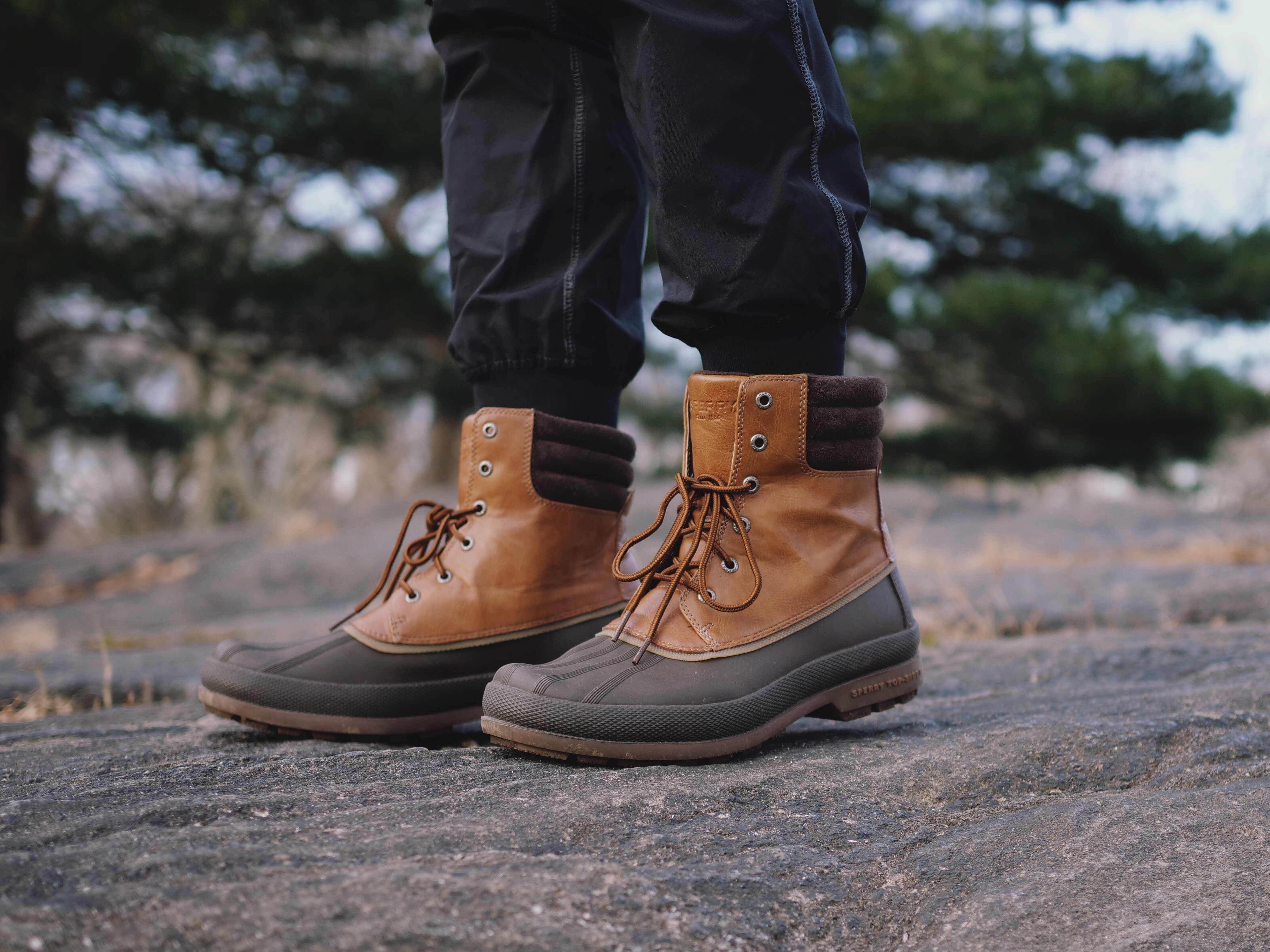 men's cold bay duck boot sperry